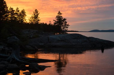 Sakin İskandinav Orman Gölü üzerinde beyaz geceler