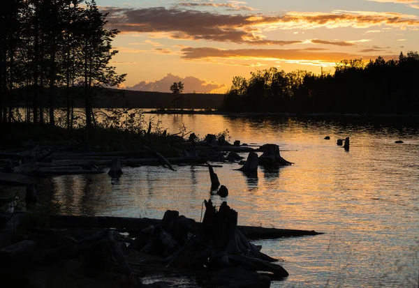 Sakin İskandinav Orman Gölü üzerinde beyaz geceler