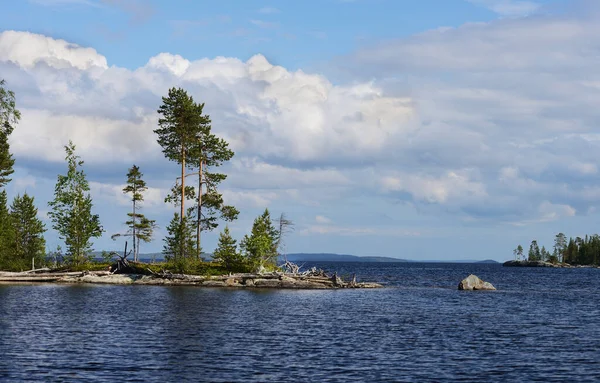 Kuzey Karelya Gölü yaz mevsiminde.