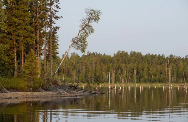 Lac de Carélie du Nord à l'heure d'été. — Photo