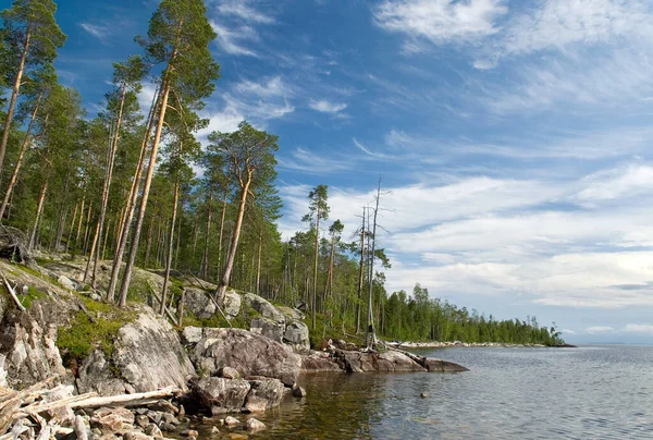 Severní Karelia jezero v létě. — Stock fotografie