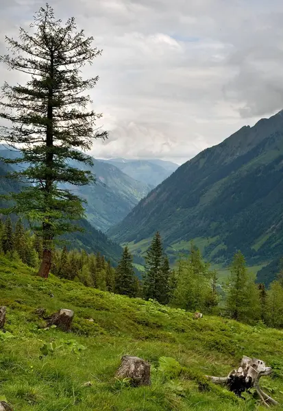 Montagne svizzere alpine grande paesaggio Foto Stock Royalty Free