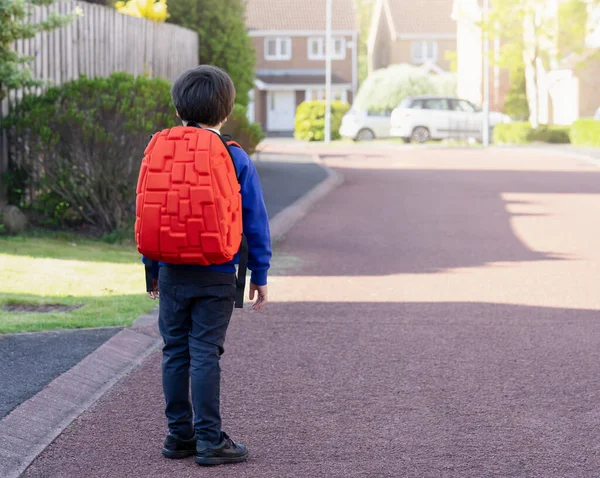 Rückseite Porträt Des Fröhlichen Kindes Mit Schulrucksack Das Für Den — Stockfoto