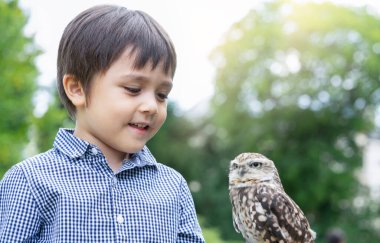 Parkta şirin bir baykuşun yanında dikilen, masum yüzlü şirin baykuşa bakan, doğa konseptiyle öğrenen çocuklar.