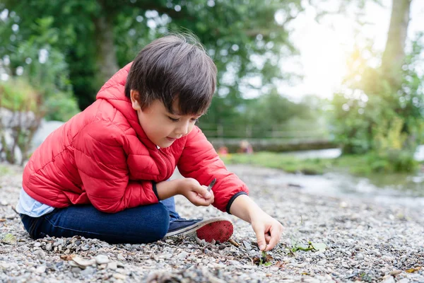 Happy Kid Looking Playing Oblázky Leaf Rozmazané Jezero Background Chid — Stock fotografie