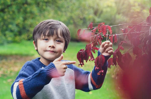 Portrait Enfant Pointant Doigt Les Mini Bêtes Feuilles Rouges Mignon — Photo