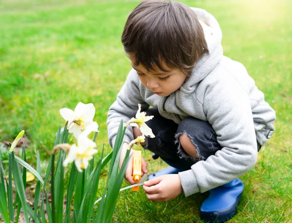 Malý Chlapec Pomocí Sprej Láhev Zalévání Narcisy Květiny Kid Baví — Stock fotografie