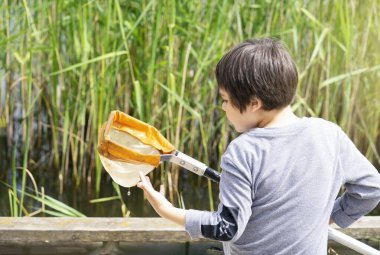 Arka planda kalan çocuk yaz mevsiminde ağla yaratık yakalıyor, çocuk kâşifinin seçici odağı oluyor ve kırsal kesimde vahşi doğa hakkında bilgi topluyor, çocuklar için yaz kampı aktiviteleri düzenliyor.