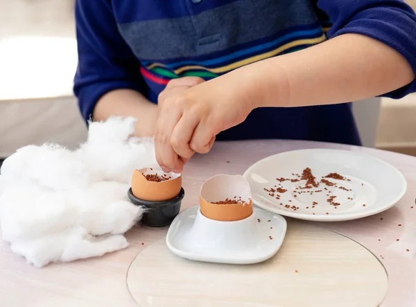 Kid hands planting seeds to the eggsshell, Child using cotton and eggshell for growing seeds, Little boy sow the cress seed into eggshell, Children activity with parent at home in summer hoilday