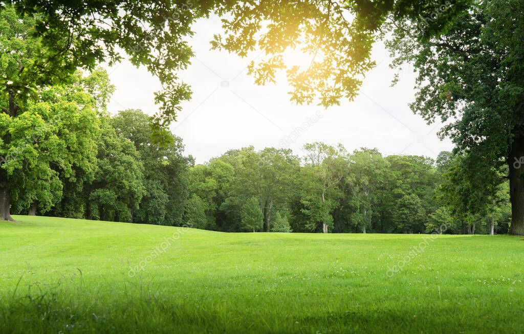 Fresh air and beautiful natural landscape of meadow with green tree  in the sunny day for summer background, Beautiful landscape of grass field with forest trees and environment public park with sun ray