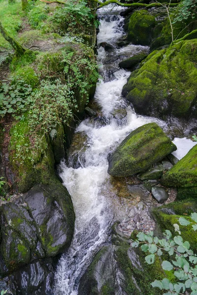 夏の緑の森での滝の風景の美しいパノラマビュー Ghyll Force Amblide レイク地区国立公園 — ストック写真