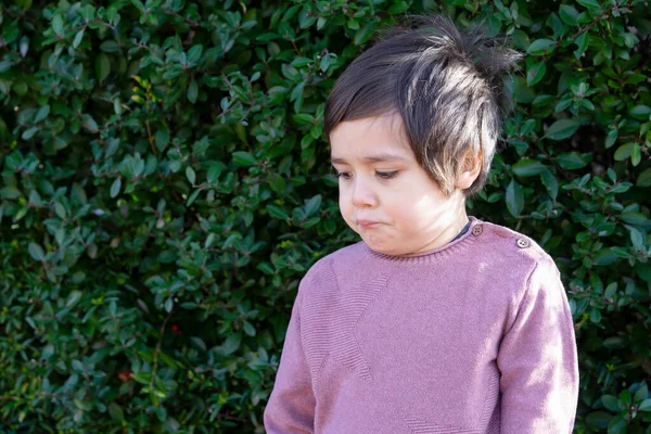 Portrait of Unhappy Toddler  standing alone next to green hedge  with sad face, Upset boy, Kid sad face looking down with thinking face, Lonely child with bored face,Spoiled children concept