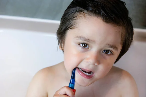 Retrato Niño Sano Sentado Bañera Limpiando Sus Dientes Con Una — Foto de Stock