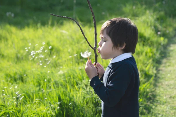 Niño Escuela Sosteniendo Palo Madera Soplando Damdelion Camino Regreso Casa — Foto de Stock