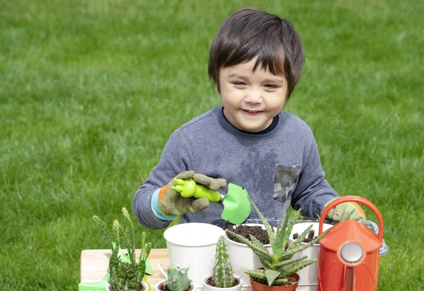 여름날 정원에 선인장을 사랑스럽고 귀여운 정원가꾸기를 즐기는 어린이 아이들을 옥외에서의 — 스톡 사진