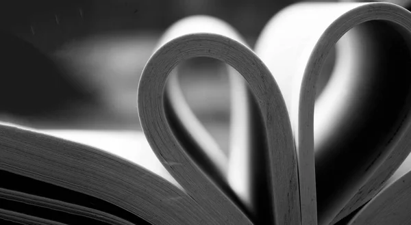Selective focus of Open book with heart sign,Soft focus shape of heart on book in black and white with orannge light, love peace background, Valentine concept