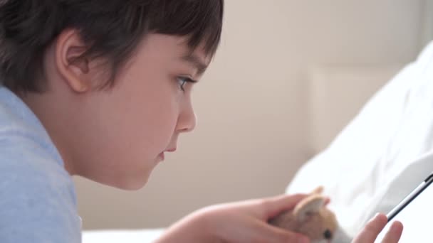 Letni Chłopiec Bawiący Się Zabawką Dla Psa Oglądający Kreskówki Tablecie — Wideo stockowe