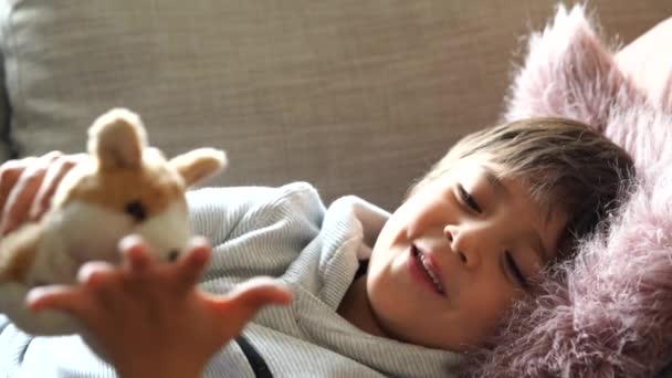 健康的孩子躺在沙发上玩狗玩具 窗上闪烁着灿烂的阳光 快乐的孩子周末或夏天在家里放松一下 — 图库视频影像