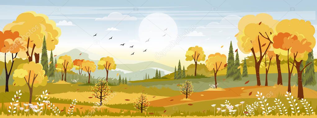 Panorama landscapes of Countryside in autumn,Panoramic of mid autumn with farm field, mountains, wild grass and leaves falling from trees in yellow foliage. Wonderland landscape in fall season
