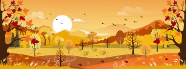  Turuncu gökyüzü ile sonbahar panorama manzara tarlası, Sonbaharda güzel gün batımı sarı yeşillik manzaralı, sonbahar sezonu arka planı