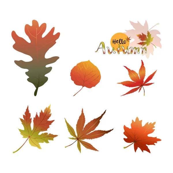 Set Van Vallende Herfstbladeren Geïsoleerd Witte Achtergrond Vector Illustratie Cartoon — Stockvector