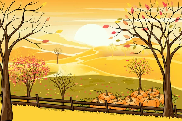 İngiliz kırsalında sonbahar manzarasının vektör çizimi orman ağaçları ve yaprakların düşüşü, tarım tarlalarının panoraiği, sonbahar mevsiminde ağacın altında sarı yapraklarla birlikte balkabağı..