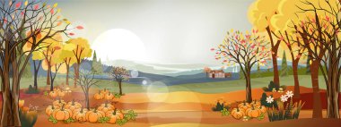 Sonbaharda kırsal bölgelerin fantezi manzaraları, sonbaharın ortası panoramik tarlaları, dağlar, balkabakları ve yapraklar sarı yapraklardan dökülüyor. Harikalar Diyarı 'nın sonbahar manzarası