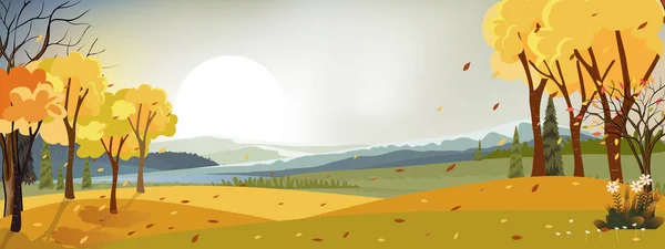 秋天乡村风景的幻想全景 秋天的全景 野草和树叶从树上落下来的黄叶 秋天的奇景 — 图库矢量图片