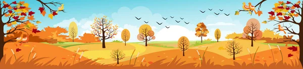 秋天乡村风景的全景 秋天风景山与枫树的水平横幅与黄叶相落的矢量图解 — 图库矢量图片