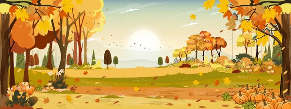 Sonbahar harikalar diyarı çimen arazili, sonbaharın ortası turuncu yapraklı, sonbahar mevsimi güzel panoramik manzaralı dağ arkasında gün batımı ve ağaçlardan düşen akçaağaç yapraklarıyla. 