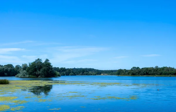 Természetes Táj Kilátás Tóra Zöld Erdő Tiszta Kék Tükröződik Víz — Stock Fotó