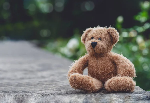 Osito Peluche Con Cara Triste Sentado Sendero Con Fondo Borroso —  Fotos de Stock