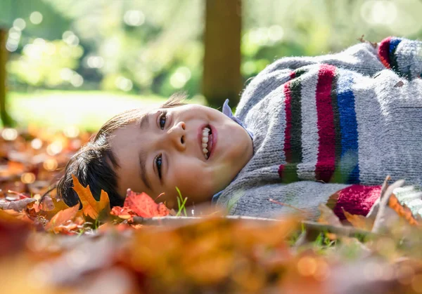 Plan Recadré Gamin Allongé Sur Des Feuilles Tombant Sous Arbre — Photo