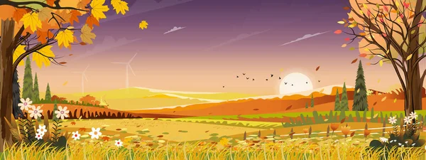 夕日と紫の空と田舎の秋の風景 ファームフィールドと中秋のパノラマ 野生の草やオレンジの葉の木から落ちて葉 秋の不思議の国 — ストックベクタ