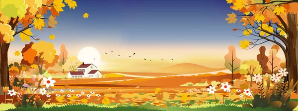 Vector Autumn panorama landscape farm field with blue sky, Beautiful sunset in mid Autumn countryside panorama view with yellowed orange foliage,Fall season with copy space for banner background