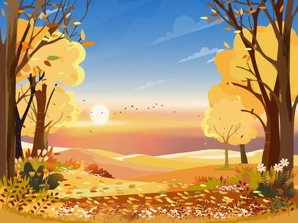 秋天的风景奇景仙境森林绿地 秋天的中秋天然橙叶 秋天的风景美丽全景 落山后 枫叶凋落 — 图库矢量图片