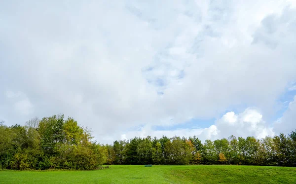 Gyönyörű Természeti Táj Rét Közparkban Lehet Kék Tavasszal Vagy Nyáron — Stock Fotó