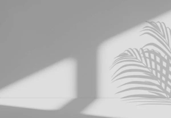 Latar Belakang Grey Wall Studio Light Shadow Palm Leaves Display — Stok Foto
