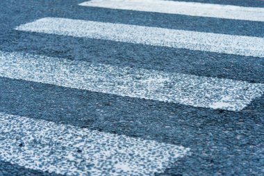 Bir zebra İngiltere 'de yol ayrımı