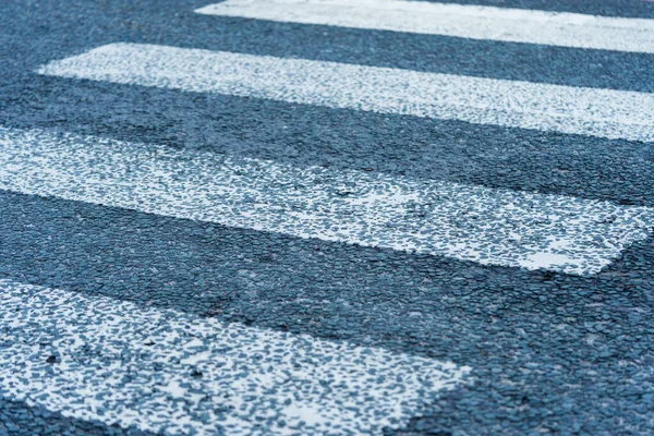 Bir zebra İngiltere 'de yol ayrımı