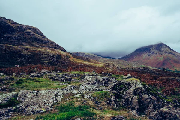 İngiltere 'nin Lake District bölgesindeki Wast-water' ın güzel bir manzara görüntüsü.