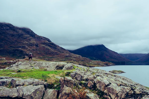 Beautiful Landscape Shot Wast Water Lake District England — Stock Photo, Image