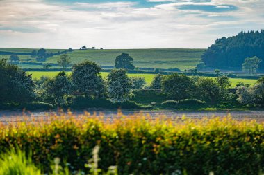 Güneşli bir öğleden sonra Kuzey Yorkshire Kırsalında