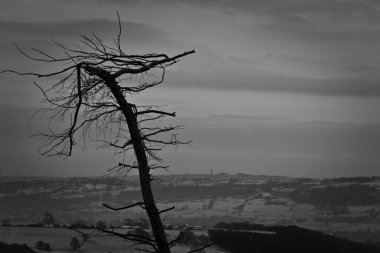 Güzel bir akşam batımı gökyüzü ilginç bir bulut örtüsüyle