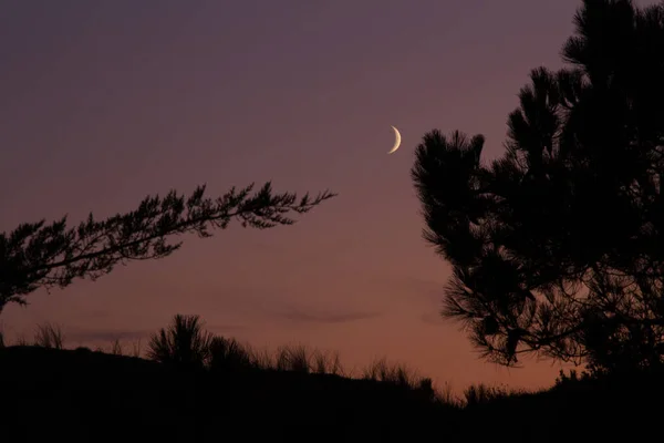 Sunset Shot Moon Half Crescent — Stock Photo, Image