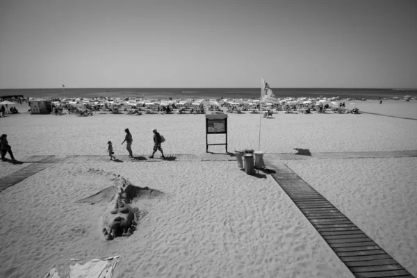 Beach Albufeira Portugal Algarve — Stock Photo, Image