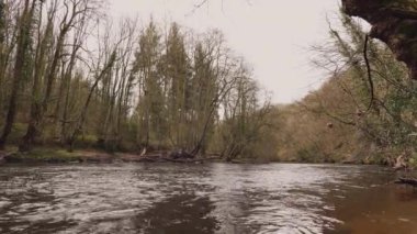 Kuzey Yorkshire 'da Nidderdale Olağanüstü Doğal Güzellik Bölgesi. Nidd nehrinin yanındaki ormanda bir patika.