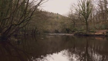 Kuzey Yorkshire 'da Nidderdale Olağanüstü Doğal Güzellik Bölgesi. Nidd nehrinin yanındaki ormanda bir patika.