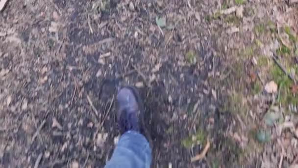 Paio Gambe Maschili Che Camminano Sentiero Boschivo Indossando Stivali Pelle — Video Stock