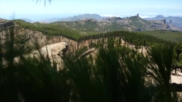 Una spinta attraverso il bel paesaggio di Gran Canaria dall'alto che domina gli alberi e le catene montuose — Video Stock